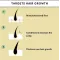 Hair Growth Oil – Nourishing Scalp & Hair Oil